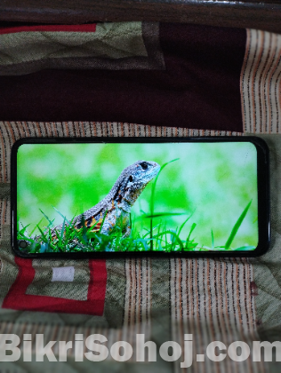 Lgq61